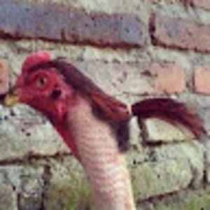 Meet your Posher, Wini